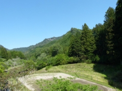 画像41